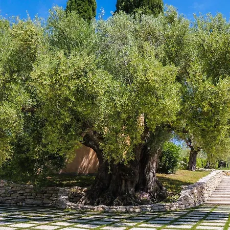 Tenuta Colfiorito Apartment Castel Madama