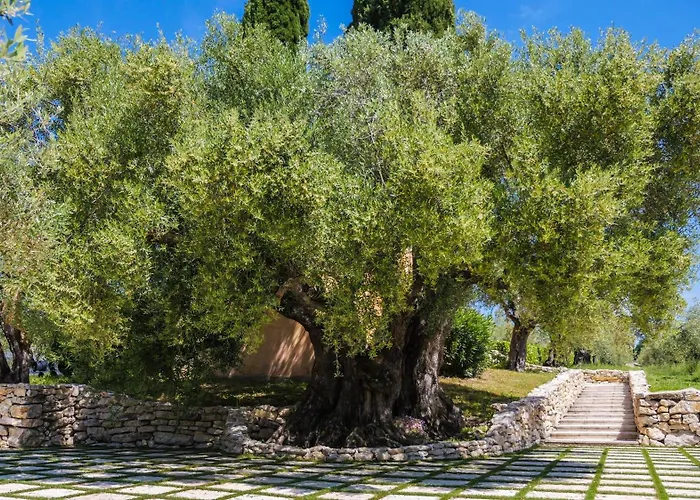 Tenuta Colfiorito Apartment Castel Madama